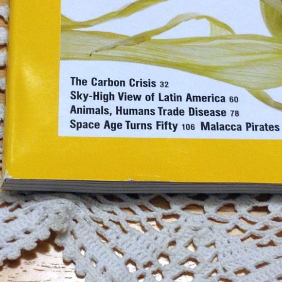 National Geographic "Growing Fuel" issue, Changing Climate poster - Picture 3 of 9